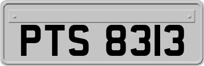 PTS8313