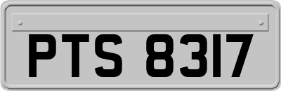 PTS8317