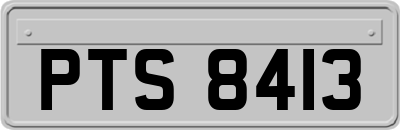 PTS8413