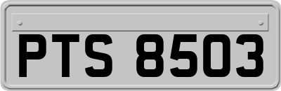 PTS8503