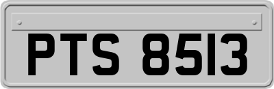 PTS8513