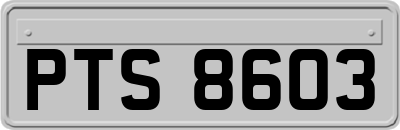 PTS8603