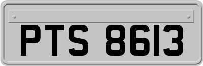 PTS8613