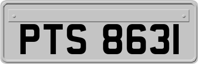 PTS8631