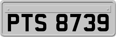 PTS8739