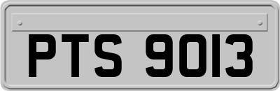 PTS9013