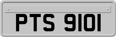 PTS9101