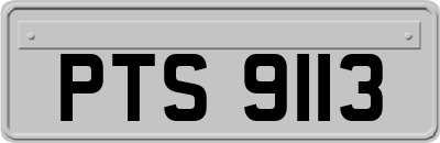 PTS9113