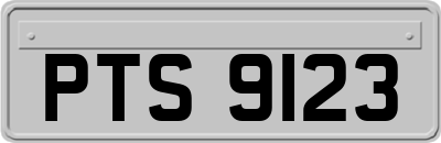 PTS9123