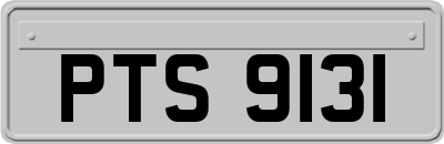 PTS9131