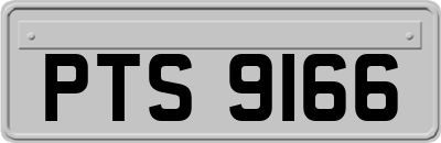 PTS9166