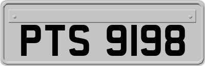 PTS9198