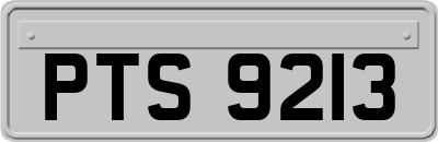 PTS9213