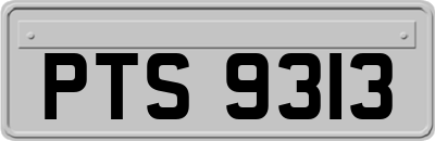 PTS9313