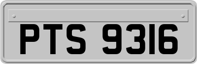 PTS9316