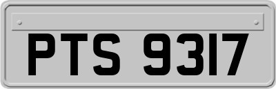 PTS9317