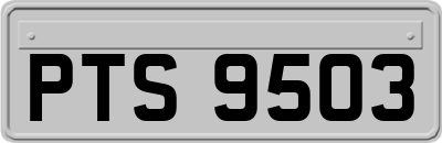 PTS9503