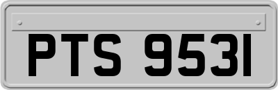 PTS9531