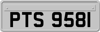 PTS9581