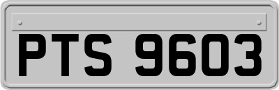 PTS9603