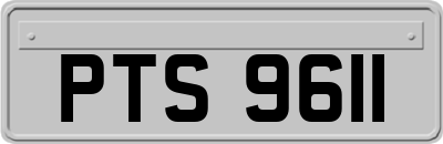 PTS9611