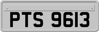 PTS9613