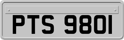 PTS9801