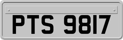 PTS9817