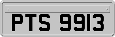 PTS9913