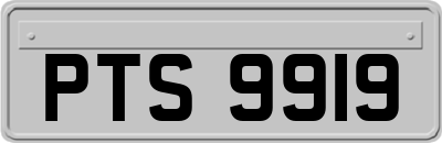 PTS9919