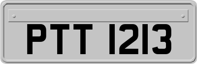 PTT1213