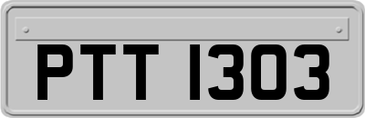 PTT1303