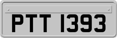 PTT1393