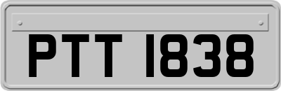 PTT1838