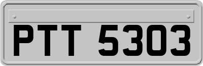 PTT5303