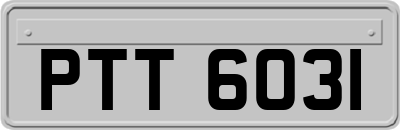 PTT6031