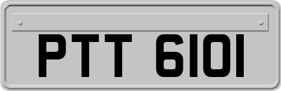 PTT6101