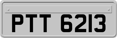 PTT6213