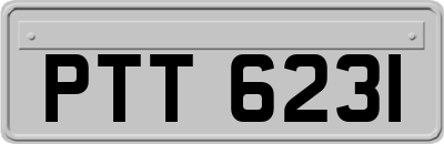 PTT6231