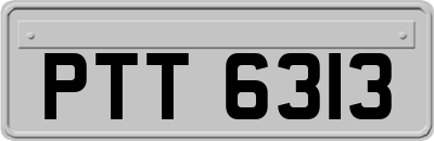 PTT6313