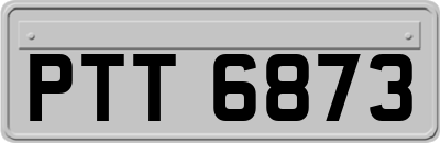 PTT6873