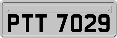 PTT7029