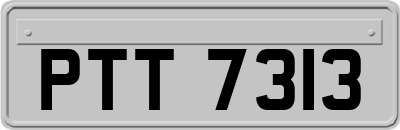 PTT7313