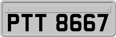 PTT8667