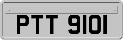 PTT9101