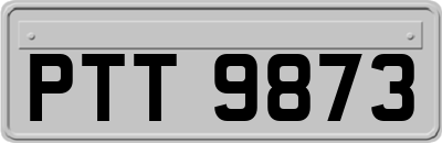 PTT9873