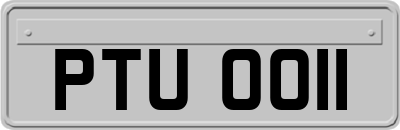 PTU0011