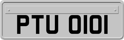 PTU0101