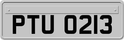 PTU0213