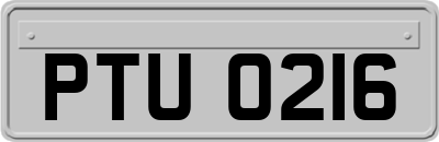 PTU0216